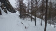 Lungo la strada per Balme