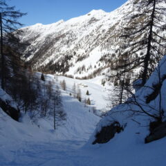 Il canale sceso verso la Casera Porcile 1803mt.