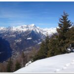 Panorama dall'alpe Genuina