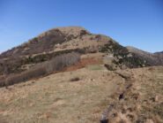 Alpesisa scendendo verso Prato