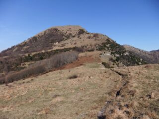 Alpesisa scendendo verso Prato