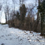 parecchi ghiaccio nell'ultima parte..