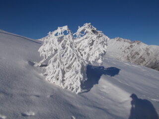 il risultato della recente nevicata di ieri..