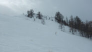 Quasi in cresta