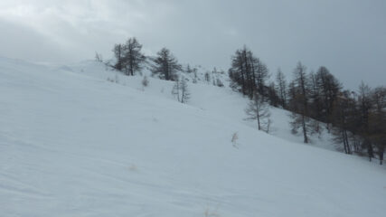 Quasi in cresta