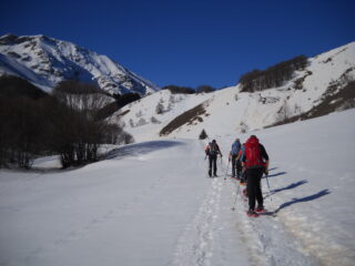 fuori dal bosco nel tratto pianeggante