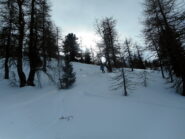 farina densa nella parte alta