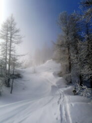 emersione