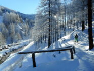 sentiero delle ciaspole a salire