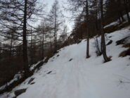 si sale per il sentiero estivo