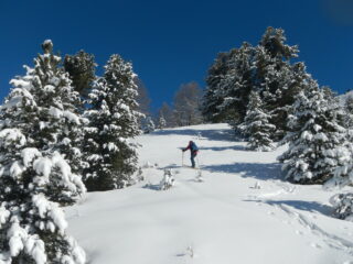 parte alta della salita