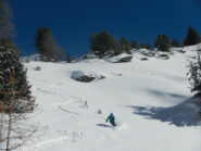 discesa su bella neve 