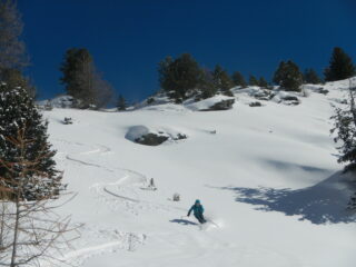 discesa su bella neve 