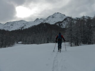 nei pressi della Bergeria Facciaccia