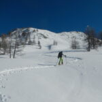 sullo sfondo il Bric dell'Oliveto