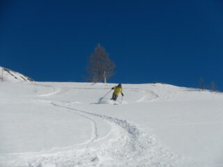 discesa su bella neve