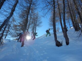 Ultimo tratto nel bosco