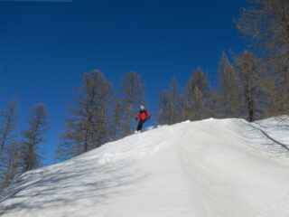 nel bosco neve portante nei tratti ben esposti al sole