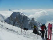 in cima