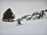 Splendida primaverile anche tra i pini
