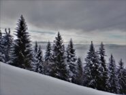 Il ns. Trentino...
