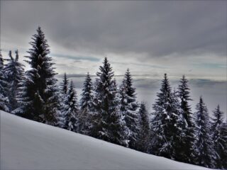 Il ns. Trentino...