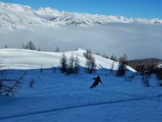 Bella polvere a nord