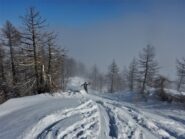 Verso i larici