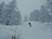Finale nel bosco divertente