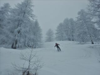 Finale nel bosco divertente