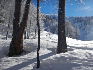 Inizio salita nel bosco