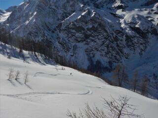 I bellissimi prati scendendo un pò a monte rispetto alla traccia di salita
