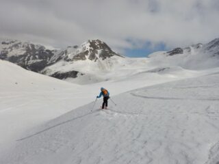 Dossi di neve morbida