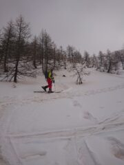 Inizio tratto mediano, bosco