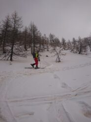 Inizio tratto mediano, bosco