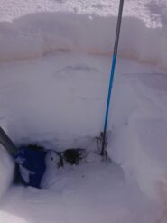 (Profilo a NW a quota 2400 nel canale a destra del l'itinerario di salita, altezza massima 90 cm) 