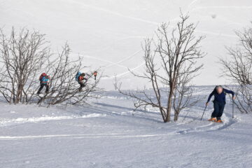quasi fuori dal bosco rado