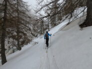 Risalendo di fianco al Rio della Brignola 