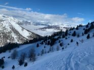 Da qui in poi bella farina nel bosco