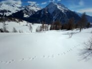 Parte intermedia bassa: crosta non portante fortemente ammorbidita