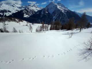Parte intermedia bassa: crosta non portante fortemente ammorbidita