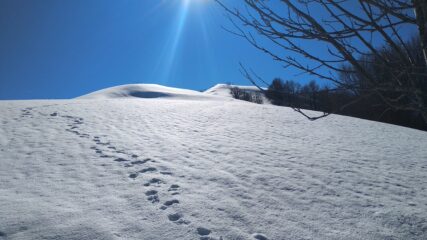 salita verso la parte finale 