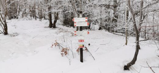 primo bivio con cartelli indicatori lungo la stradina innevata