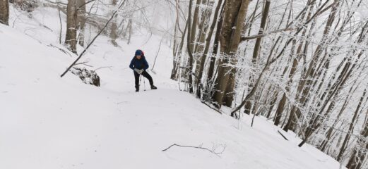 Anna Maria in salita nel bosco del versante SE del Galero