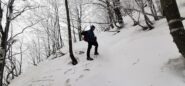 Stelvio in salita nel bosco a quota 1300 m