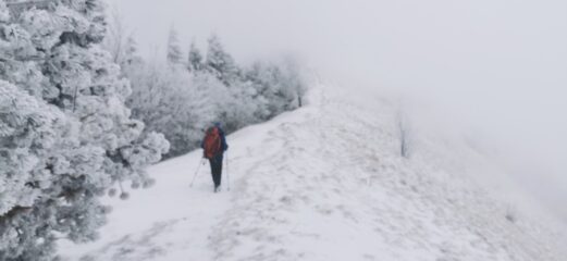 in discesa verso il Passo delle Caranche