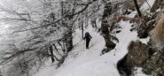 una parte del lungo traverso con saliscendi nel bosco che riporta al bivio con il sentiero della 
