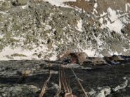 sdr