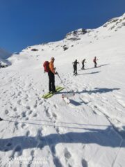 Abbondanza di materia prima