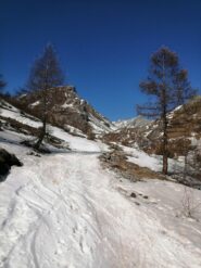 salendo dopo la pista di fondo